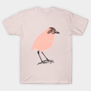 bird and color T-Shirt